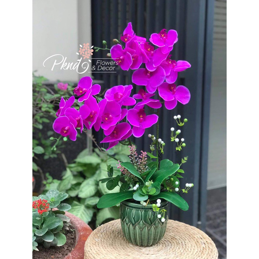 Chậu hoa lan hồ điệp giả trang trí phòng khách đẹp PKND FLOWERS & DECOR CH08