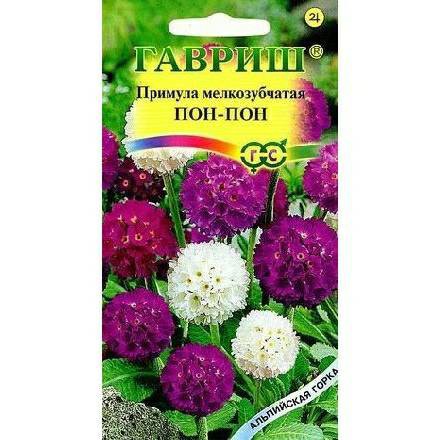 Hạt giống hoa Ngọc trâm hình cầu mix F1 Nga