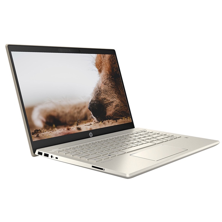 Laptop HP Pavilion 14-dv0534TU 4P5G3PA (Core i7-1165G7 | 8GB | 512GB | Intel Iris Xe | 14 Inch FHD | Win 10 | Warm Gold) | BigBuy360 - bigbuy360.vn