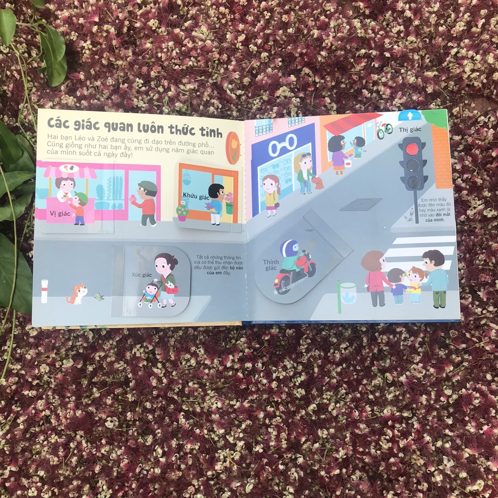 Sách Bách khoa tri thức đa tương tác – Năm giác quan