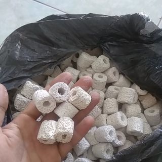 Sứ lọc hồ cá 100g - betta hải dương