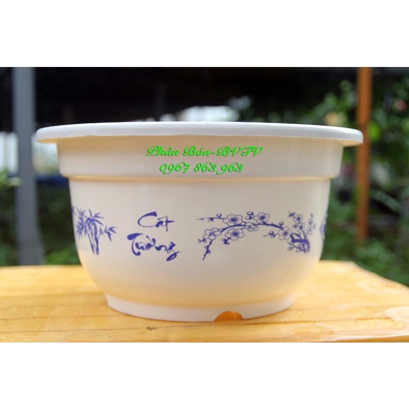 Chậu Tròn Như Ý Cát Tường 30 x 16 cm,màu trắng bông xanh