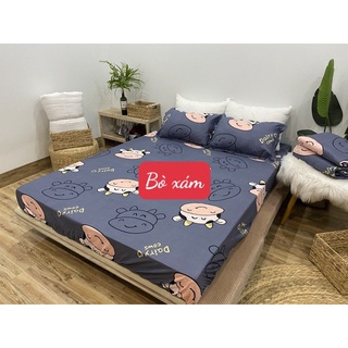 Bộ Drap 1M8X2M Trải Giường Kèm 2 Vỏ Gối Đầu(VIKOKHA-215)