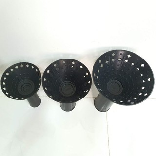 5 CỐT BÓ HOA