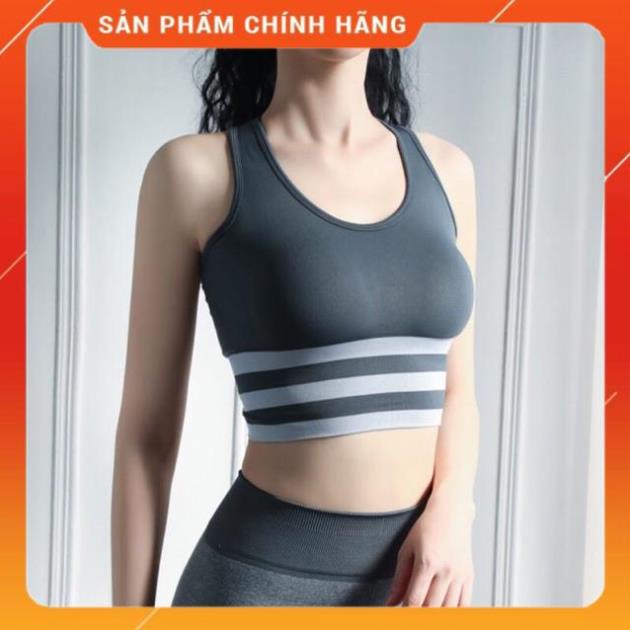 Áo bra, croptop Hàn siêu co giãn, thời trang Hàn 999