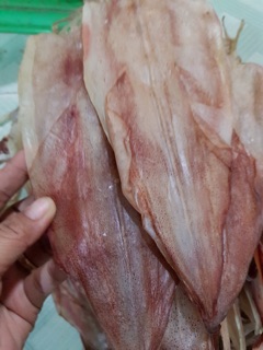 Mực Cà Mau 500g ( 4~5 con)