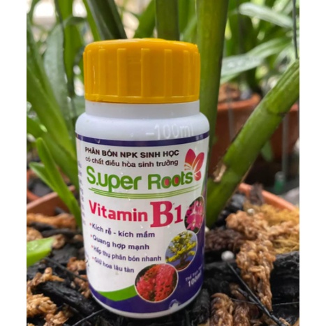 Super Roots Vitamin B1 100ml - Phân bón lá sinh học  Vitamin B1 kích rễ kích mầm, quang hợp mạnh939