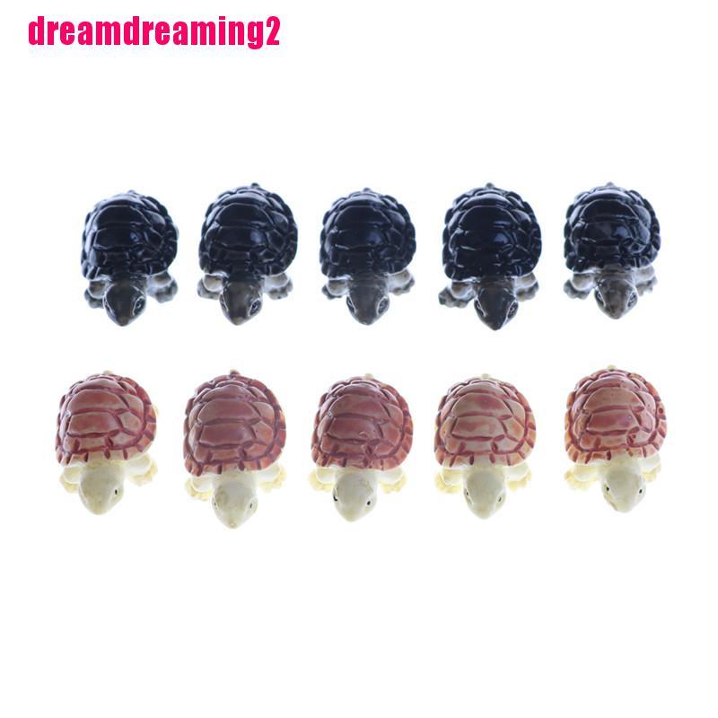 Bộ 10 Chú Rùa Mini Trang Trí Với Nhỏ