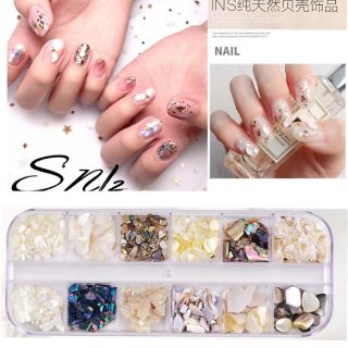 Xà cừ, bào ngư, vỏ sò trang trí móng