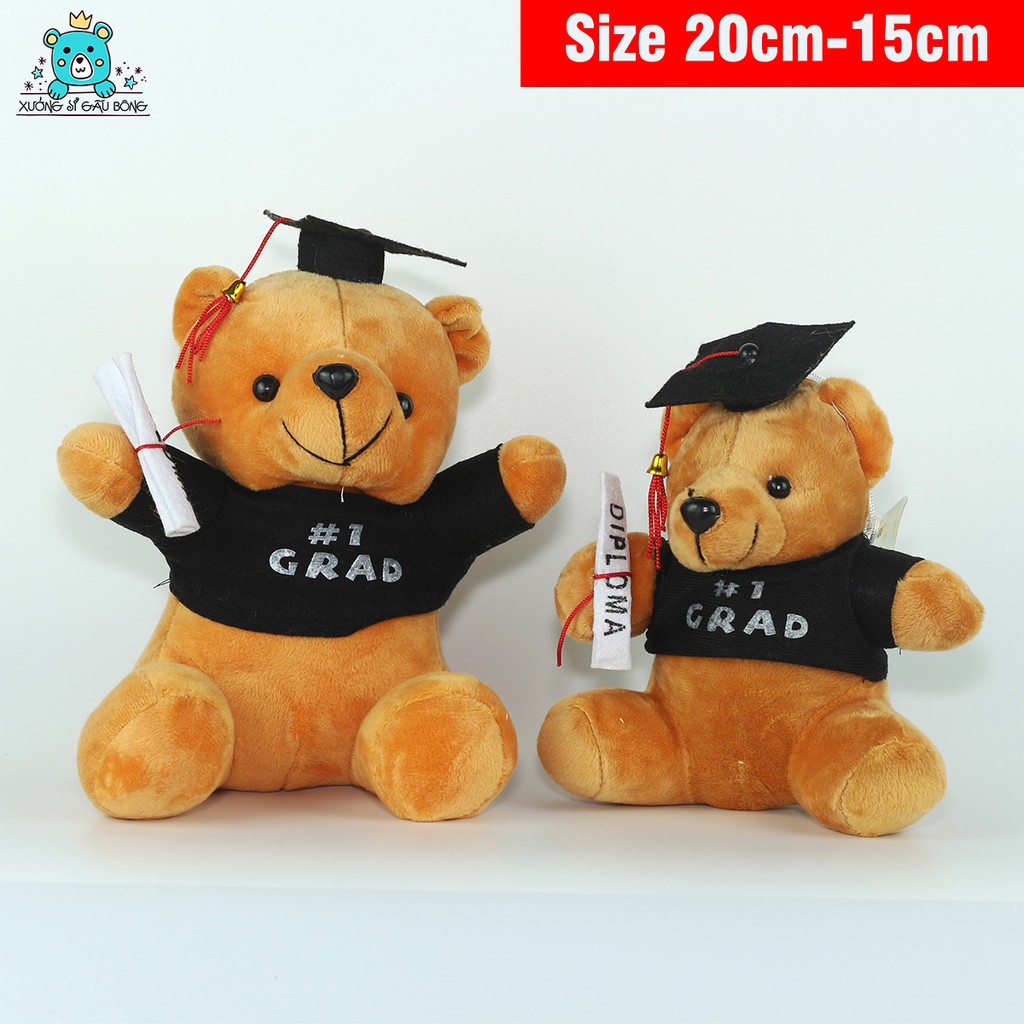 Gấu cử nhân quà tặng tốt nghiệp cho bé nhận in logo theo yêu cầu size 20-15cm