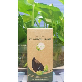 Tinh dầu treo Caroline 10ml - mùi Nước Hoa