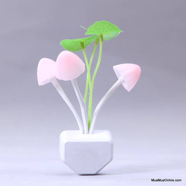 Đèn ngủ cảm ứng hình nấm..