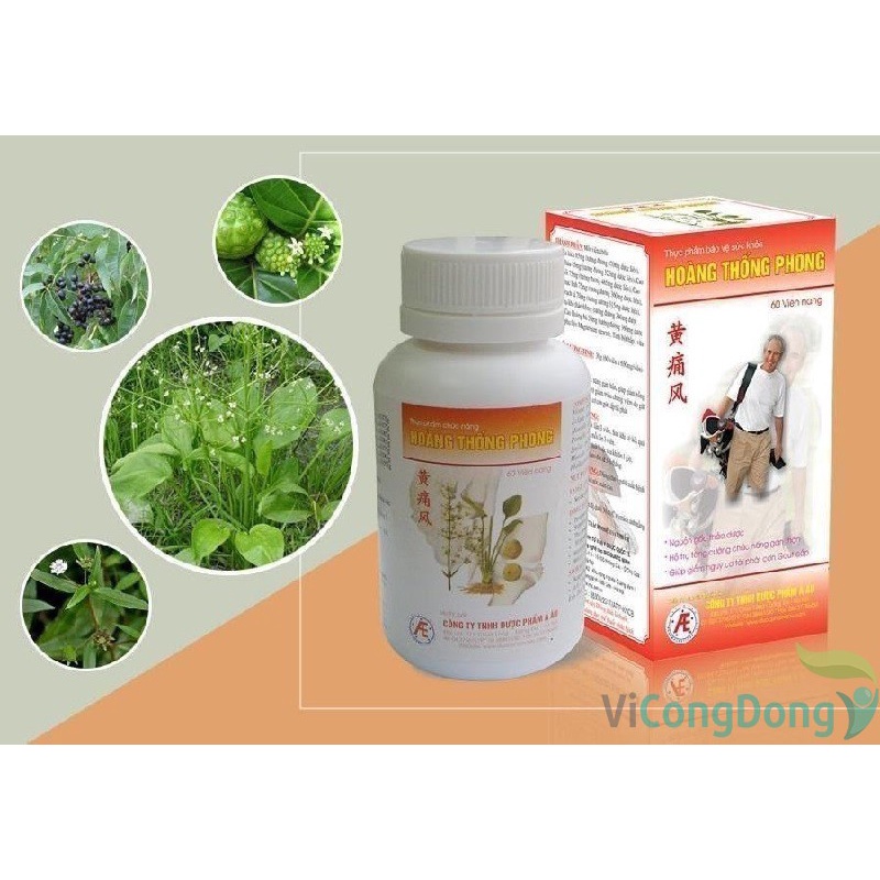 Hoàng Thống Phong - Không Còn Nỗi Lo Gút hộp 60 viên