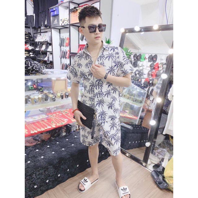 Bộ Nam cây dừa sang chảnh . | BigBuy360 - bigbuy360.vn