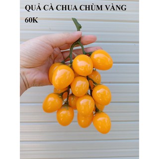 TRÁI CÂY GIẢ GIỐNG THẬT 99% TRANG TRÍ( đạo cụ chụp ảnh)