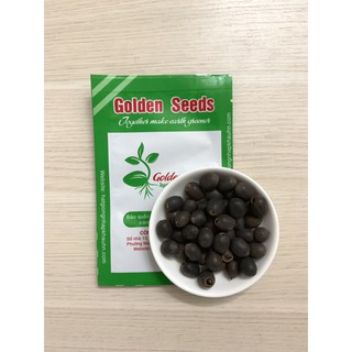 Hạt Giống Sen Mini Nhật 5 Hạt/ Gói