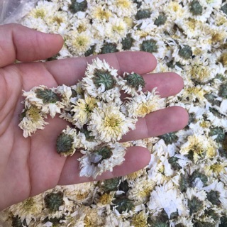 Bạch Cúc Hoa Sấy Khô