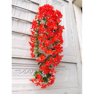 Hoa đỗ quyên treo tường