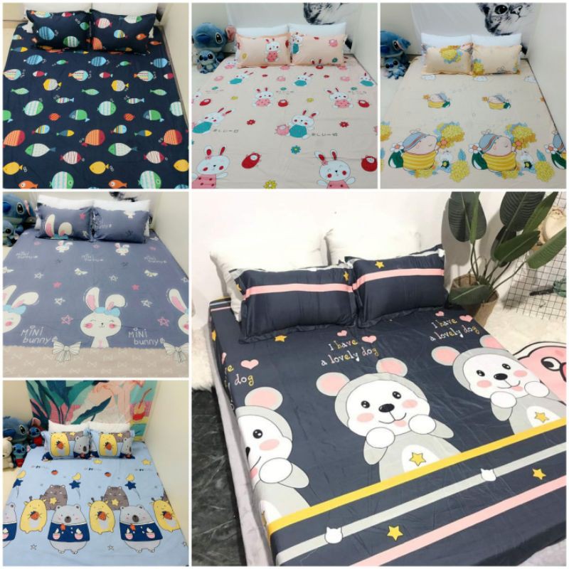 bộ drap ga gối cotton poly 1m6/1m8  ( chat chọn  mẫu)