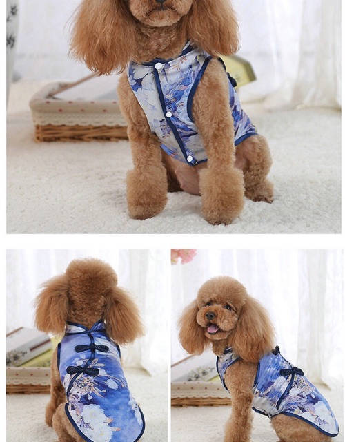 ÁO CỔ TRANG DÀNH CHO THÚ CƯNG PHONG CÁCH SỪNG XÁM