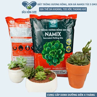 Đất Sạch Namix Chuyên Trồng Xương Rồng, Sen Đá Túi 5dm3