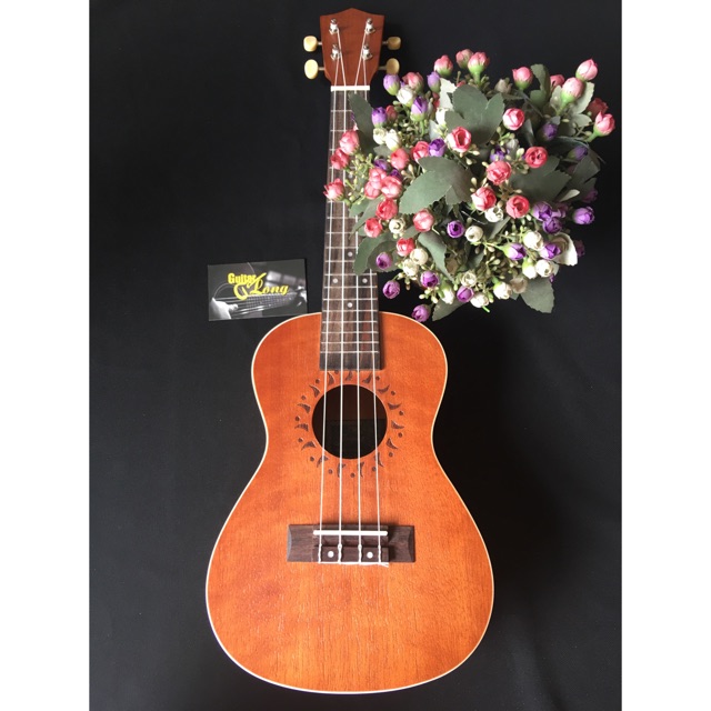 Đàn Ukulele Concert HD800 CB2