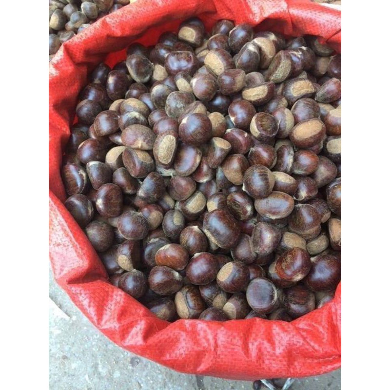 Hat Dẻ Trùng Khánh Cao Bằng Hạt To VIP 1KG