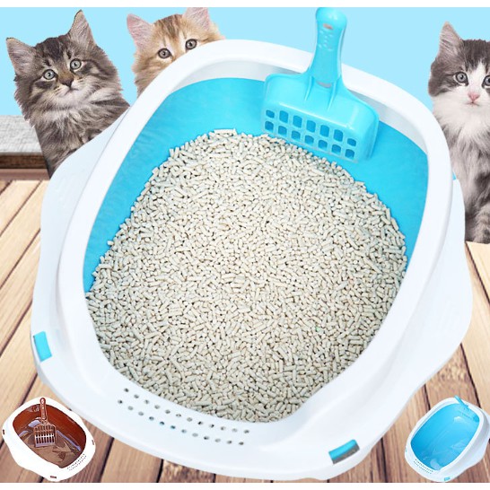 &lt;SHIP BAO RẺ&gt;Combo Khay vệ sinh và cát vệ sinh cho mèo (nhiều nhãn hàng các cho khách lựa chọn)