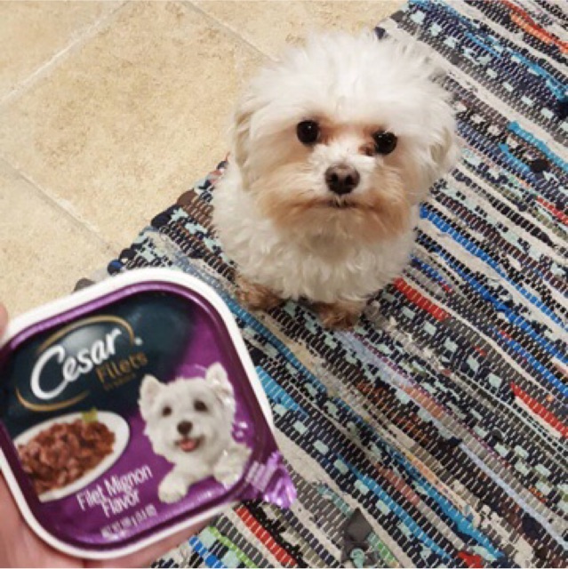 PATE CESAR Made in USA