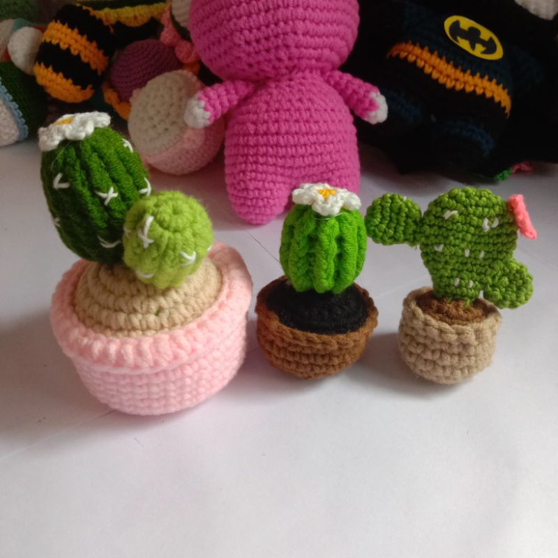 CHẬU XƯƠNG RỒNG LEN HANDMADE