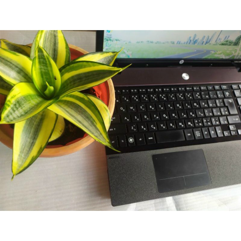 Laptop HP 4520S nhập khẩu nguyên chiếc USA