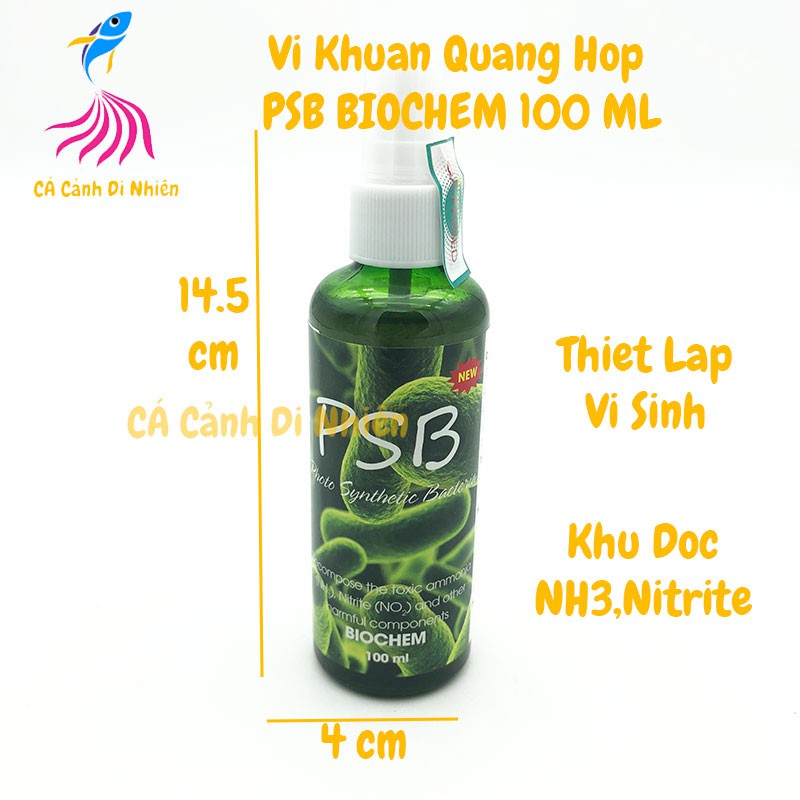 Vi khuẩn quang hợp PSB XANH LÁ Khử Độc CHAI XỊT 100 ML