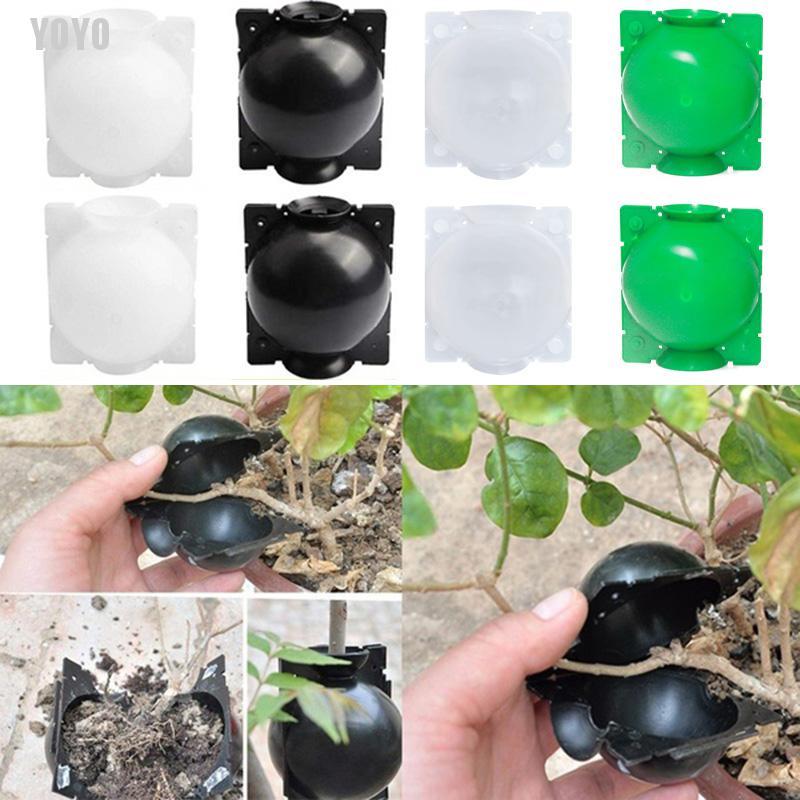 Hộp Quả Bóng Áp Suất Cao Dùng Ghép Cây Trồng Trong Vườn
