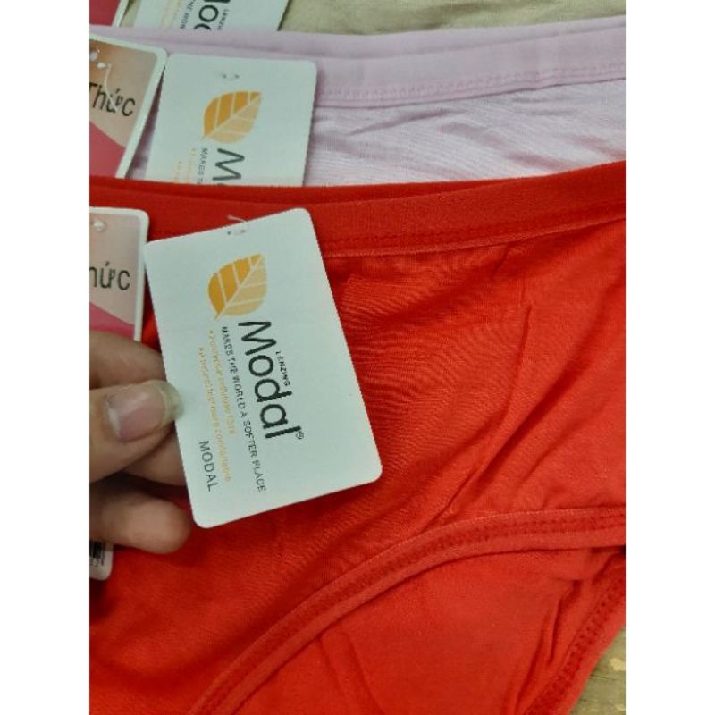 Quần Lót Nữ Thun cotton 8008, 8009 Lưng cao Freesize (55-75Kg), quần chip nữ thun cotton co giãn