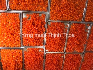100 Lòng đỏ trứng muối ( Hàng đạt TC VSATTP) Size 12-15gr -Chỉ ship hoả tốc