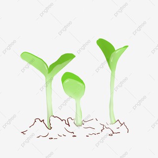 Thiệp cảm ơn / Thiệp tri ân