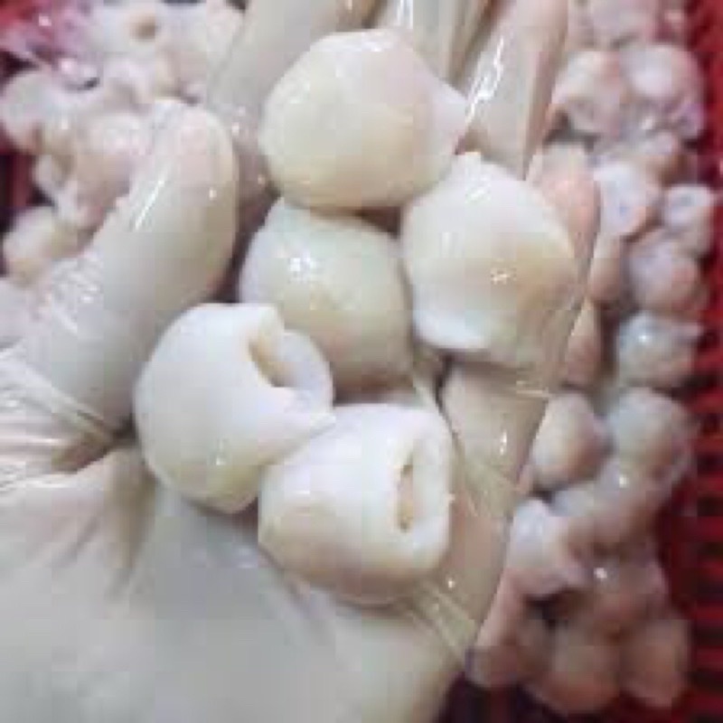 Răng mực cồ Răng bự vĩ 500gr