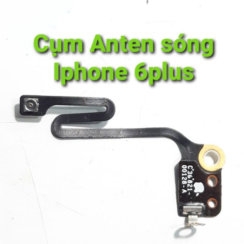 Anten sóng iphone 6 plus