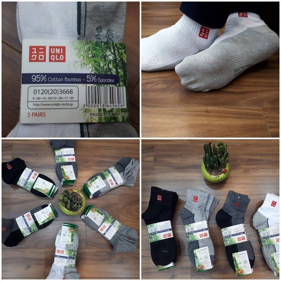 TẤT UNIQLO