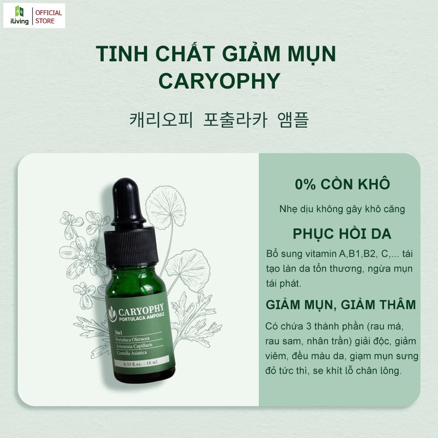 Serum giảm mụn mờ thâm se khít lỗ chân lông Caryophy 10ml ILIVING-CARSR10