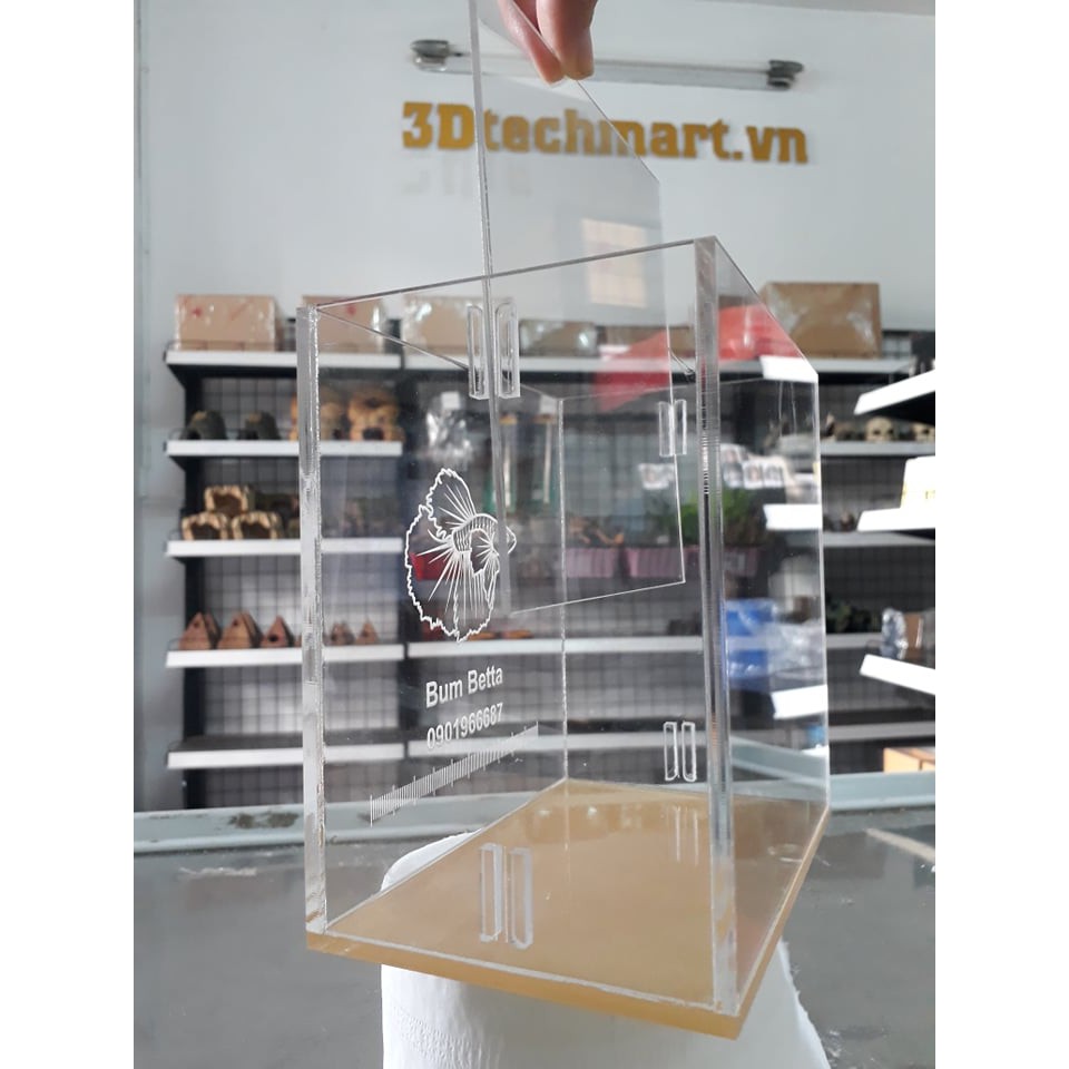 Hồ show cá 2 ngăn siêu trong/ keo show/ bể show cá betta guppy chất acrylic có khắc tên theo yêu cầu