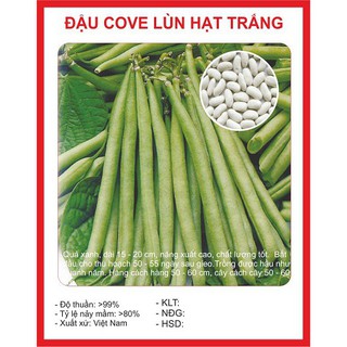 Hạt giống đậu cove lùn 50gr