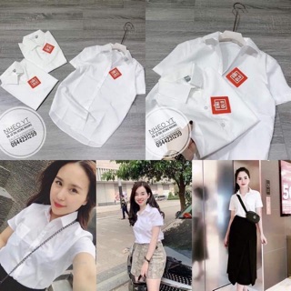 Áo sơ mi trắng cộc tay .