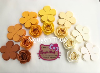 Set cánh hoa cắt sẵn
