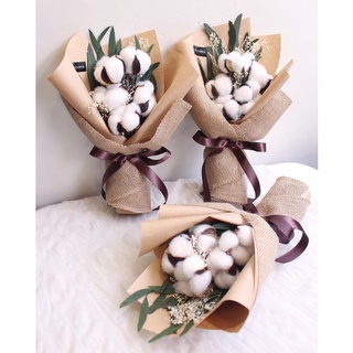 🌸 Hoa khô trang trí 🌸 Hoa Bông Gòn siêu bền trang trí vintage