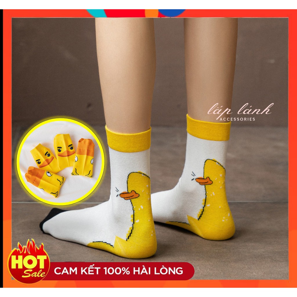 [Có sẵn] TẤT VỚ CỔ CAO HÌNH CHÚ CHIM MẶT QUẠU DỄ THƯƠNG ĐÁNG YÊU QUÀ TẶNG TÌNH YÊU Ý NGHĨA VALETINE VO008