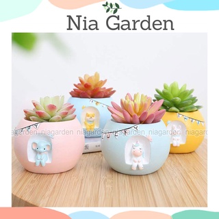 Chậu nhựa trồng sen đá xương rồng mini hình thỏ chó Shiba kỳ lân voi Nia Garden N4