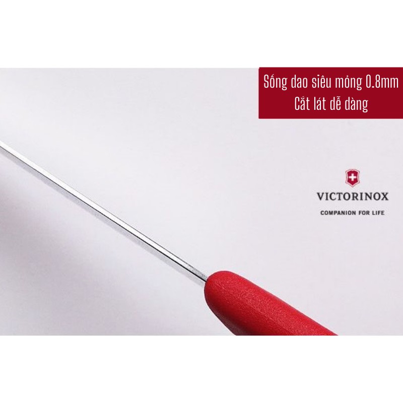 [THỤY SỸ] Dao gọt hoa quả Victorinox lưỡi thẳng 8cm cán nhựa nhiều màu