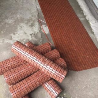 Chiếu trúc cắt