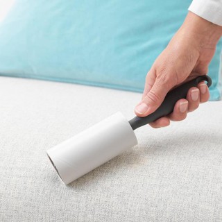 Cây lăn bụi Ikea Bastis 20cm